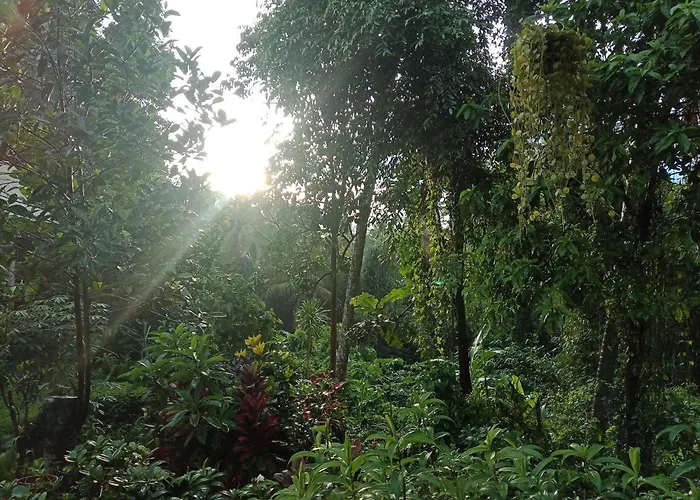 Putu *