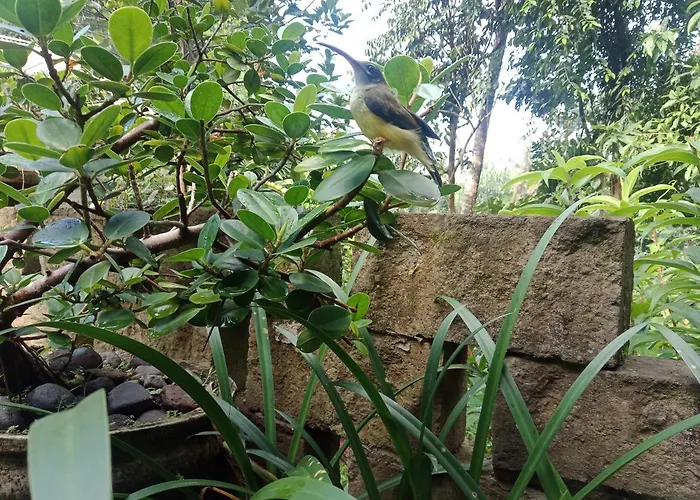 Séjour chez l'habitant Putu *