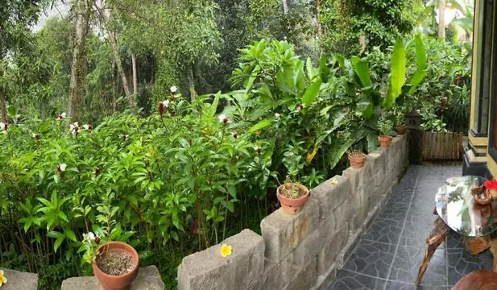 Séjour chez l'habitant Putu Ubud