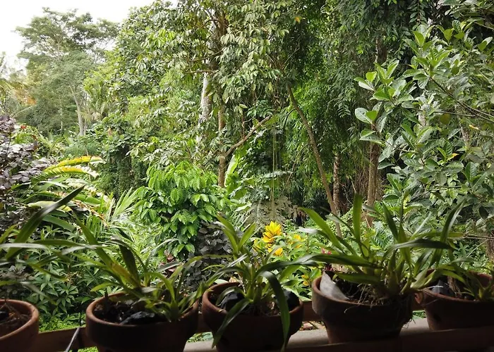 Séjour chez l'habitant Putu