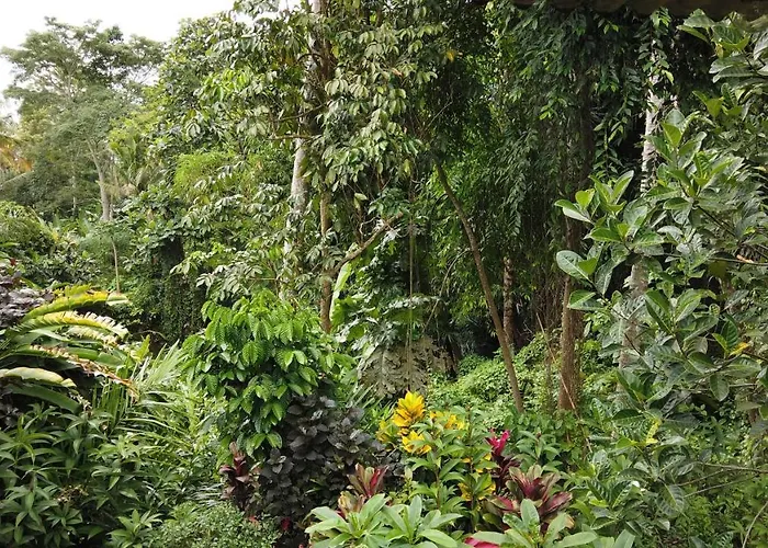 Séjour chez l'habitant Putu *