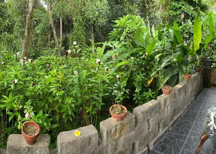 Putu * Ubud